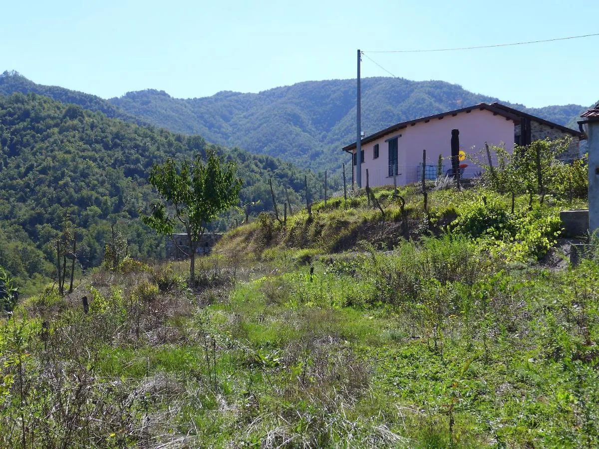 אולה Mini Appartement Colombana 0*,
